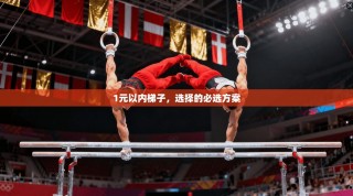 1元以内梯子，选择的必选方案