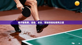 梯子破免费，自由、安全、便捷的轻松使用之道