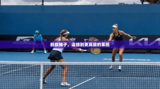 蚂蚁梯子，连接到更高级的系统