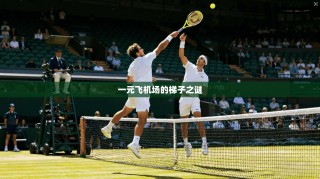 一元飞机场的梯子之谜