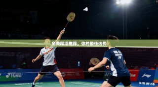 免费爬墙推荐，你的最佳选择