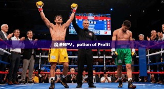 魔法NPV，potion of Profit