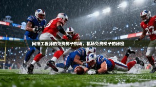 网络工程师的免费梯子机场，机场免费梯子的秘密