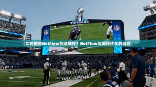 如何使用NetFlow加速软件？NetFlow与网络优化的结合