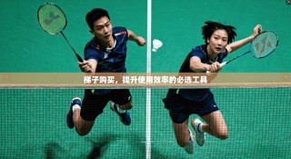 梯子购买，提升使用效率的必选工具