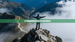 VP加速器安全独立IP技术探讨