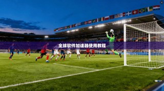 全球软件加速器使用教程