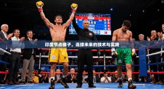 印度节点梯子，连接未来的技术与实践