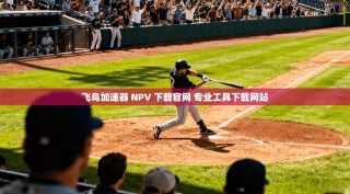 飞鸟加速器 NPV 下载官网 专业工具下载网站