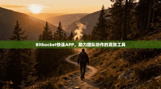 Bitbucket快连APP，助力团队协作的高效工具