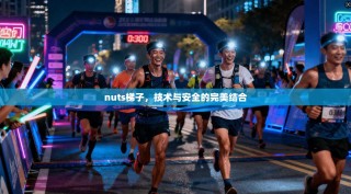 nuts梯子，技术与安全的完美结合