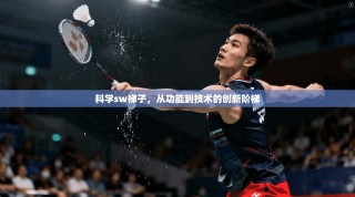 科学sw梯子，从功能到技术的创新阶梯