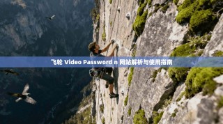 飞轮 Video Password n 网站解析与使用指南