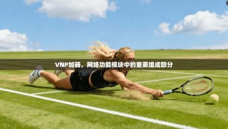VNP加器，网络功能模块中的重要组成部分