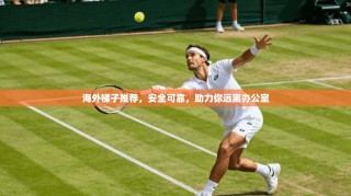 海外梯子推荐，安全可靠，助力你远离办公室