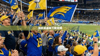 海鸥加速器下载官网