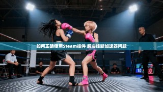 如何正确使用Steam挂件 解决挂断加速器问题