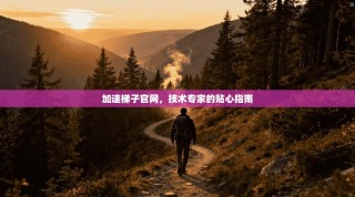 加速梯子官网，技术专家的贴心指南