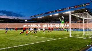 vpn15分钟试用，选择合适的网络保护方案