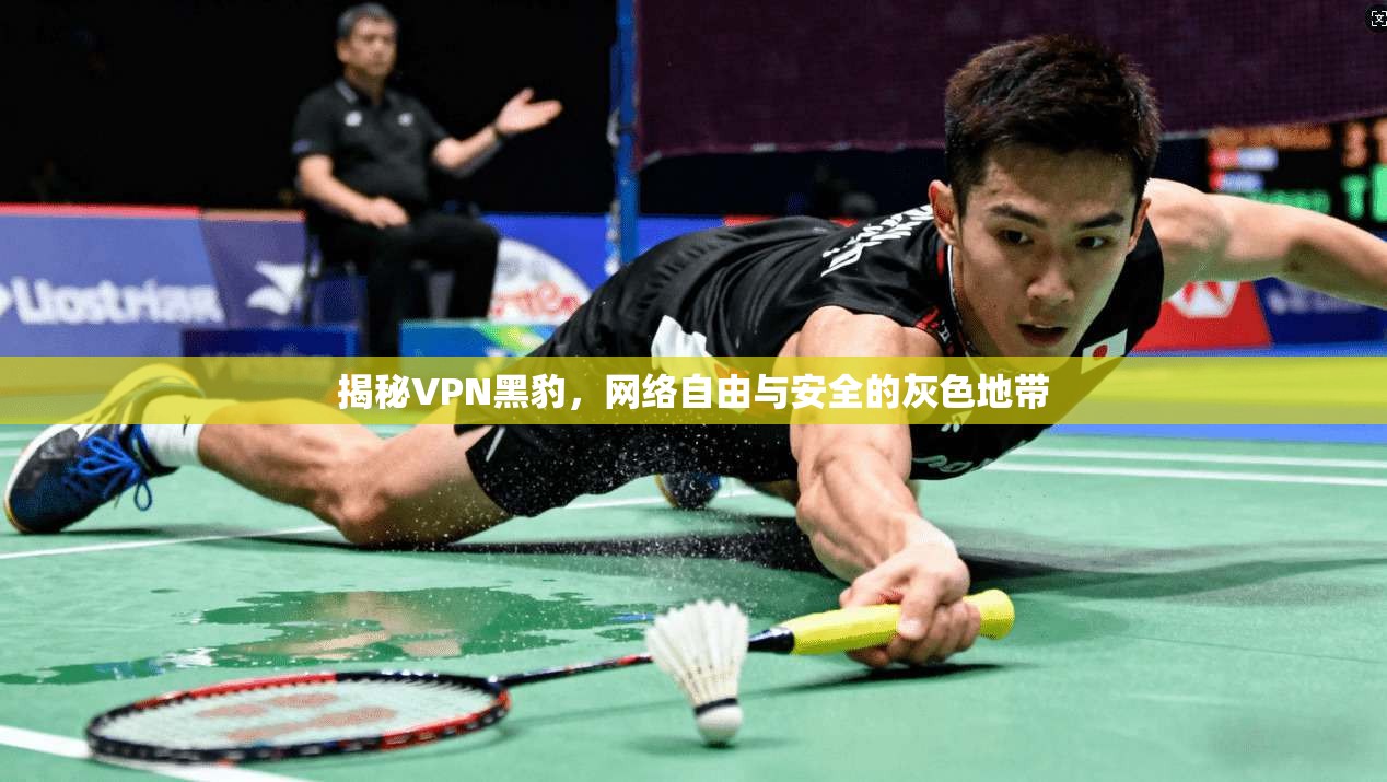 揭秘VPN黑豹，网络自由与安全的灰色地带