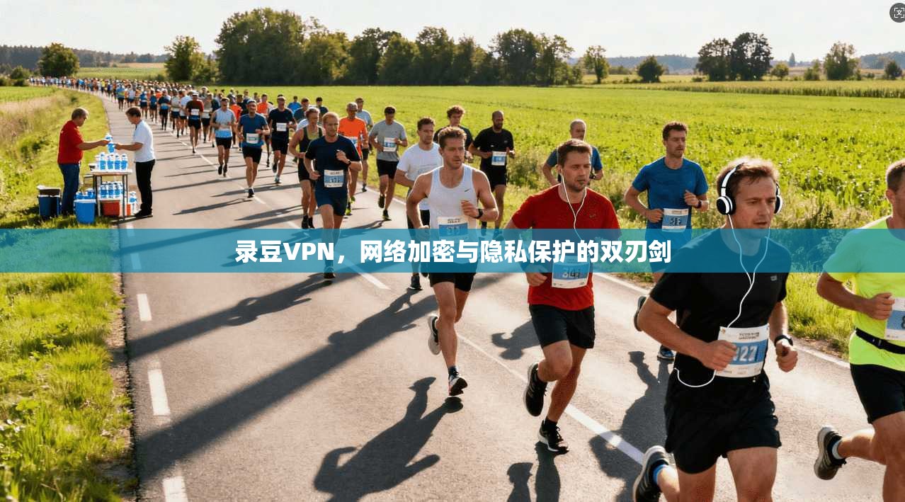 录豆VPN,网络加密与隐私保护的双刃剑