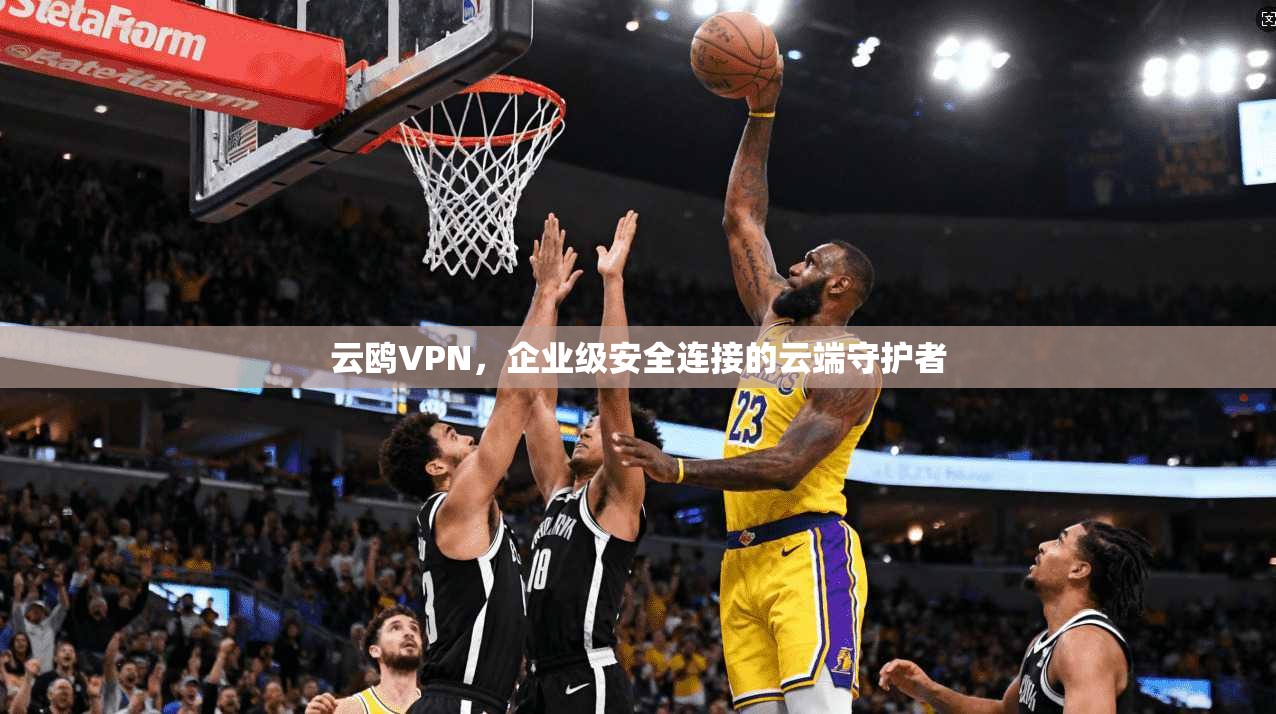 云鸥VPN，企业级安全连接的云端守护者