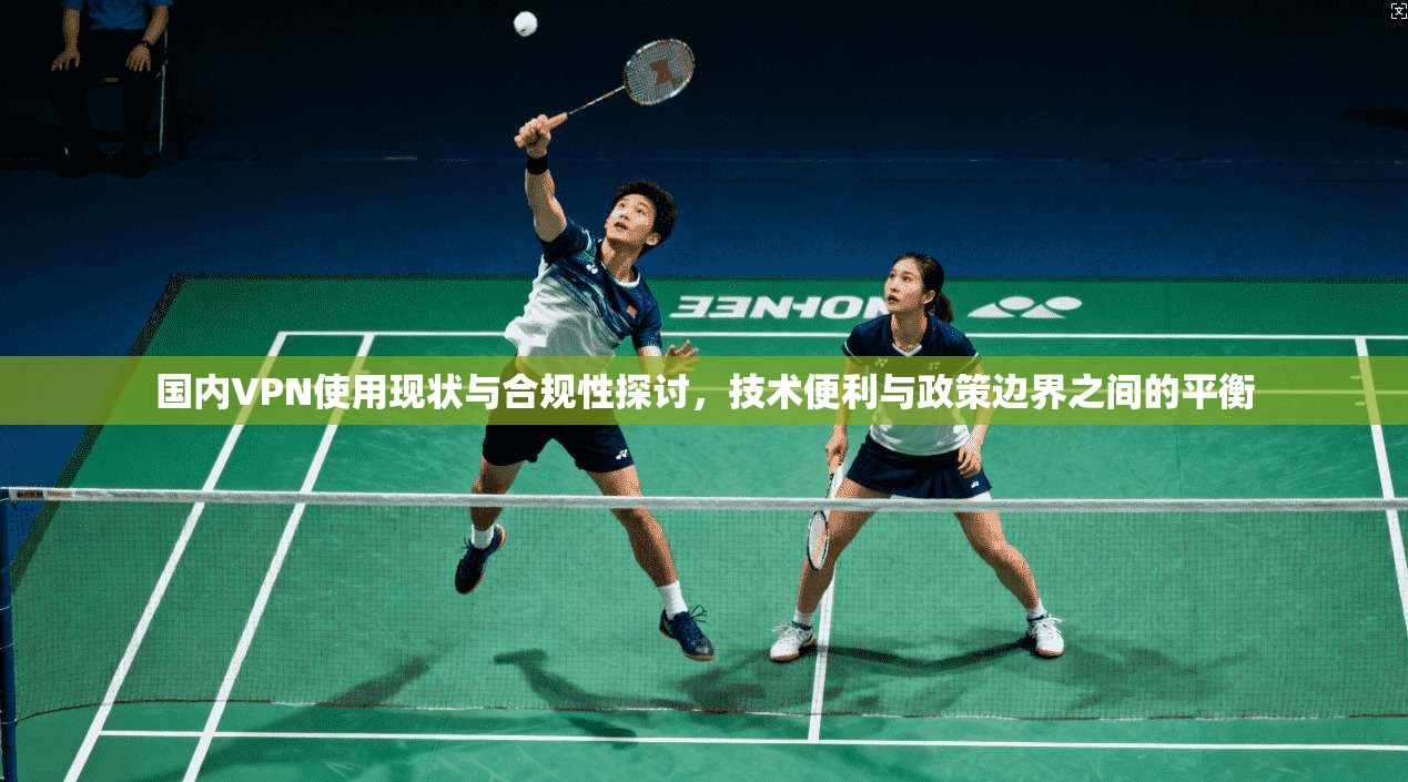 国内VPN使用现状与合规性探讨，技术便利与政策边界之间的平衡