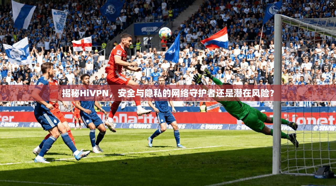 揭秘HiVPN，安全与隐私的网络守护者还是潜在风险？
