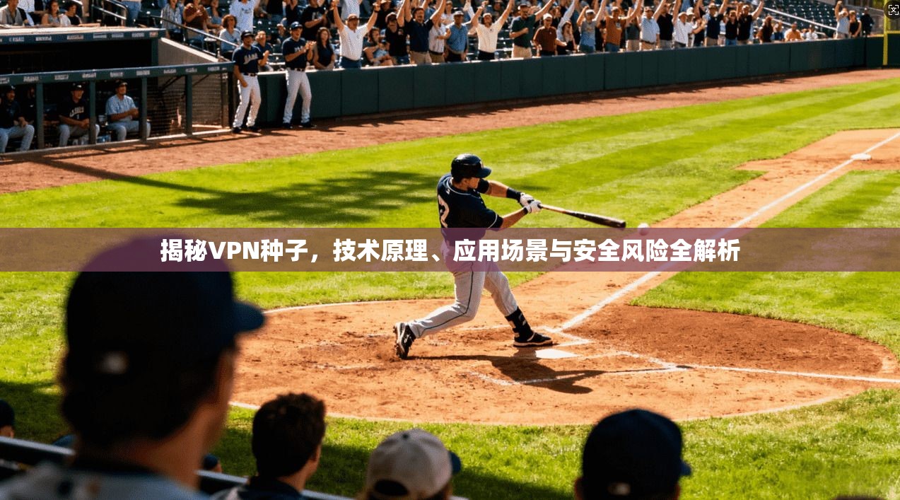 揭秘VPN种子，技术原理、应用场景与安全风险全解析
