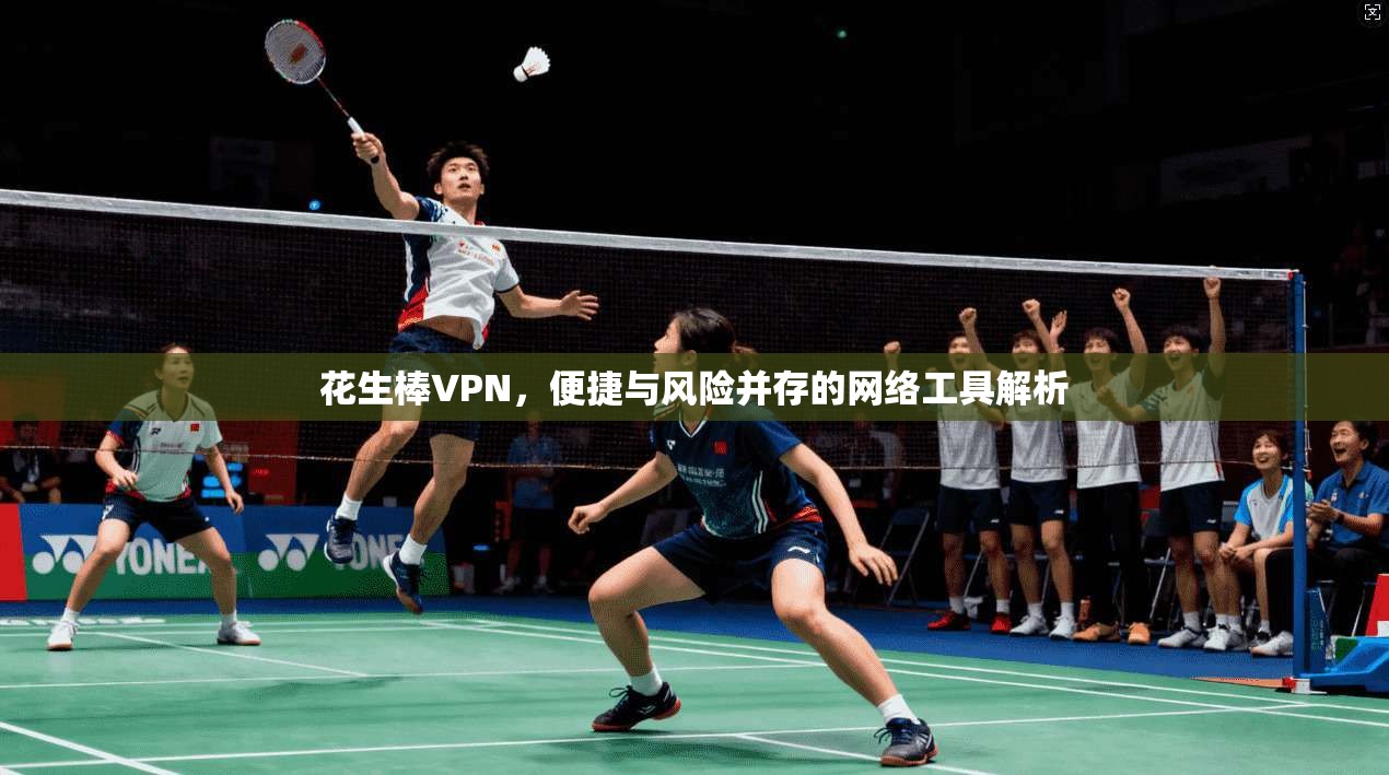 花生棒VPN,便捷与风险并存的网络工具解析