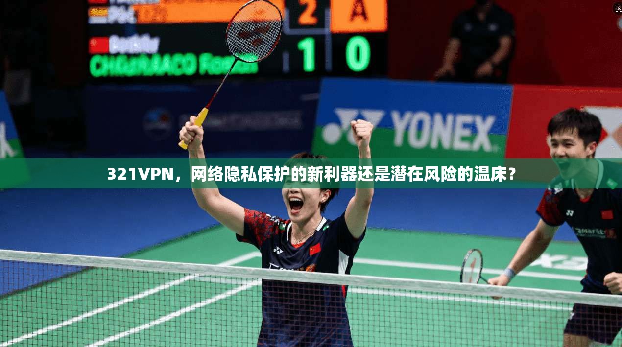 321VPN，网络隐私保护的新利器还是潜在风险的温床？