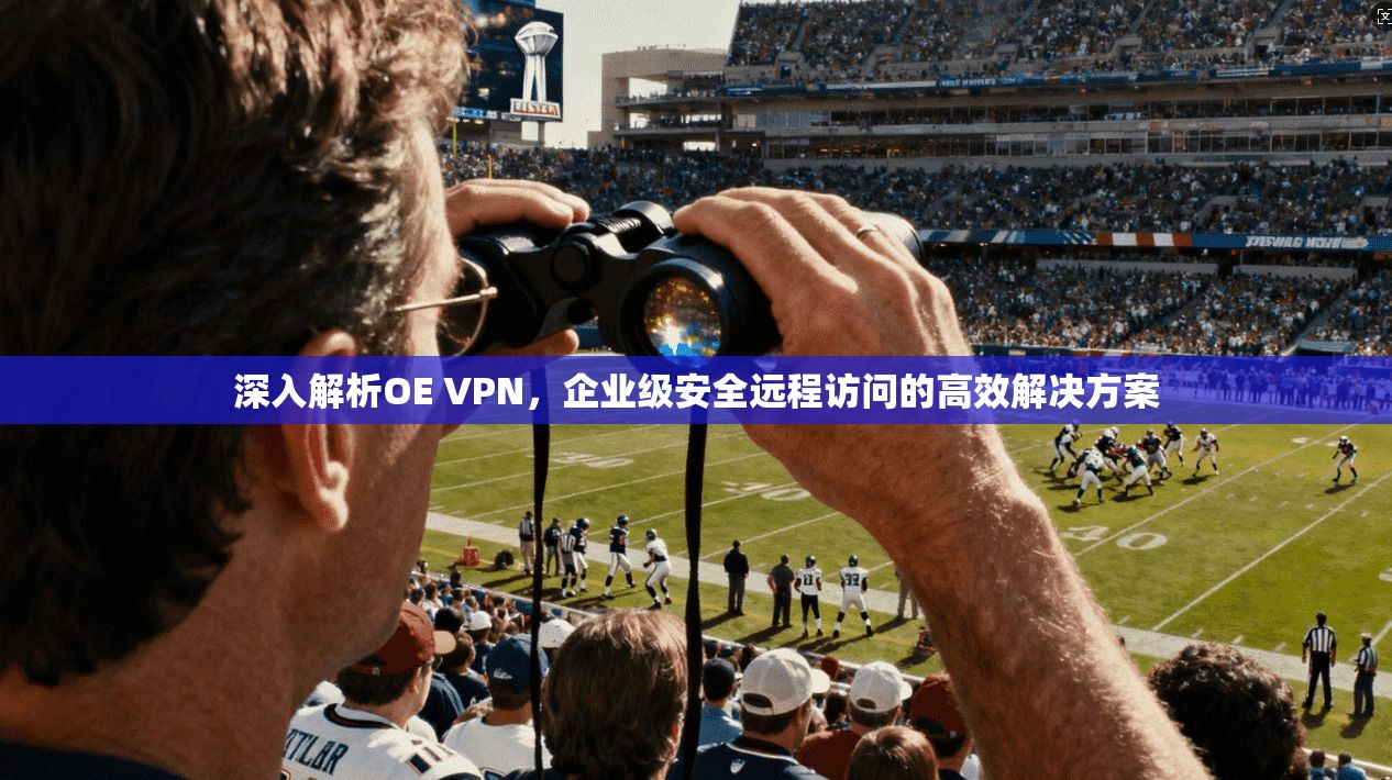 深入解析OE VPN，企业级安全远程访问的高效解决方案