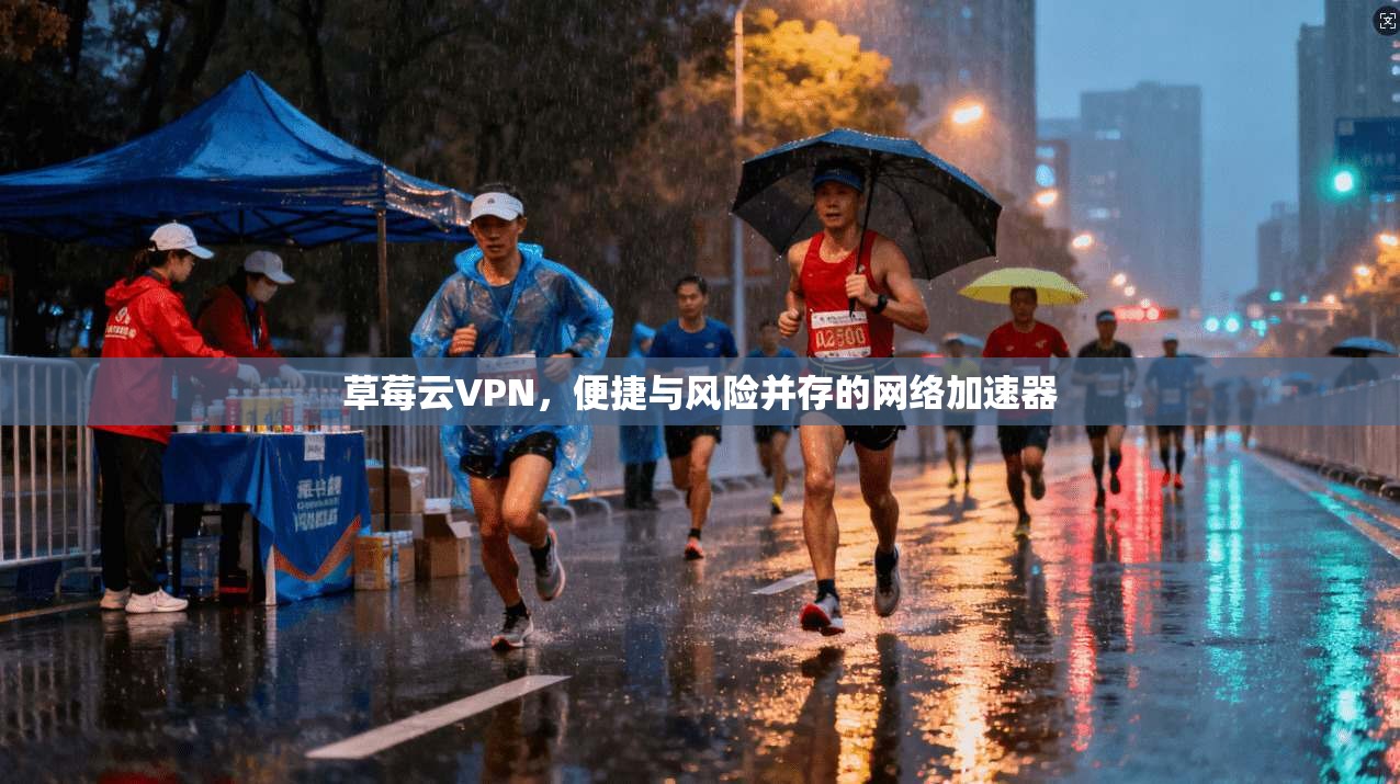 草莓云VPN，便捷与风险并存的网络加速器