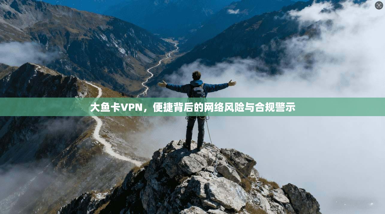 大鱼卡VPN,便捷背后的网络风险与合规警示