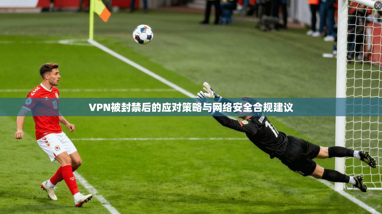 VPN被封禁后的应对策略与网络安全合规建议