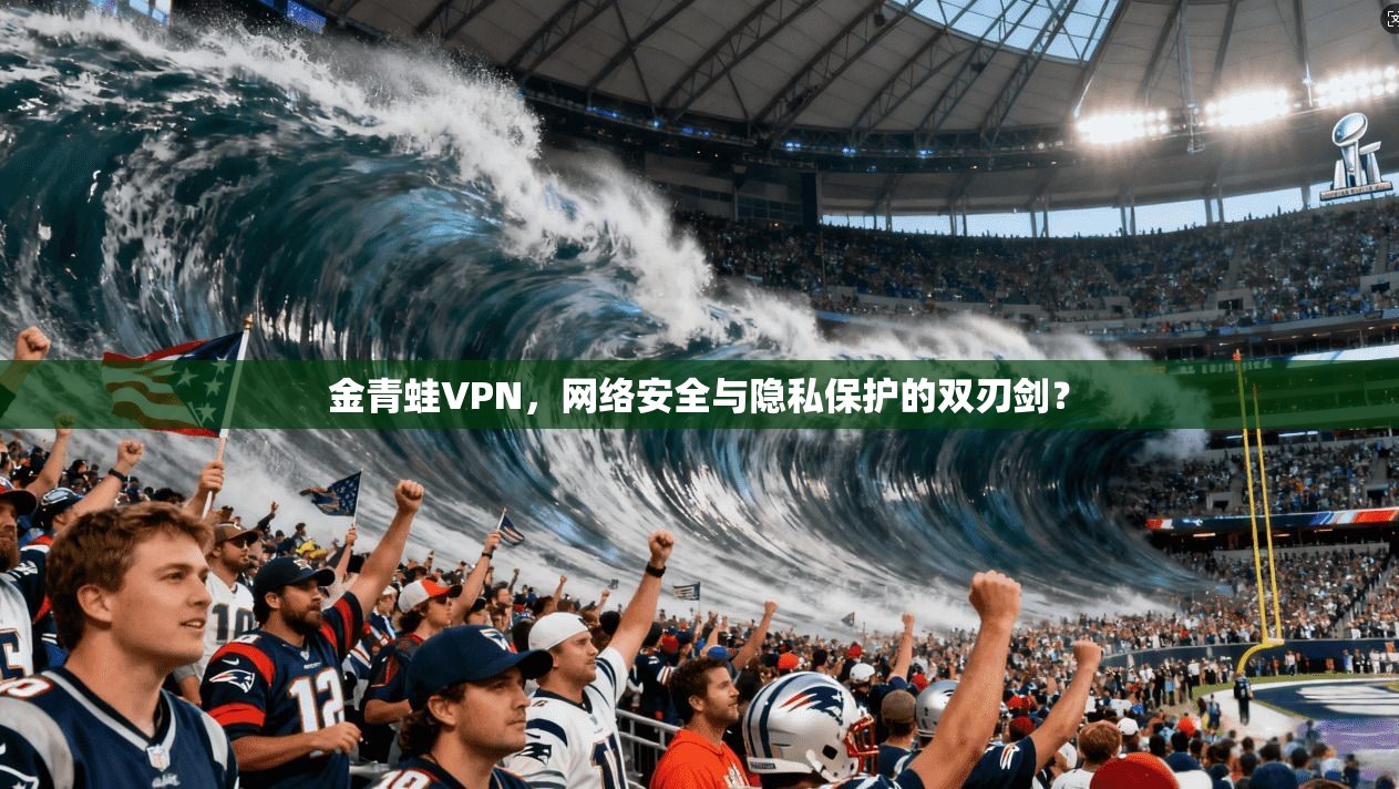 金青蛙VPN，网络安全与隐私保护的双刃剑？
