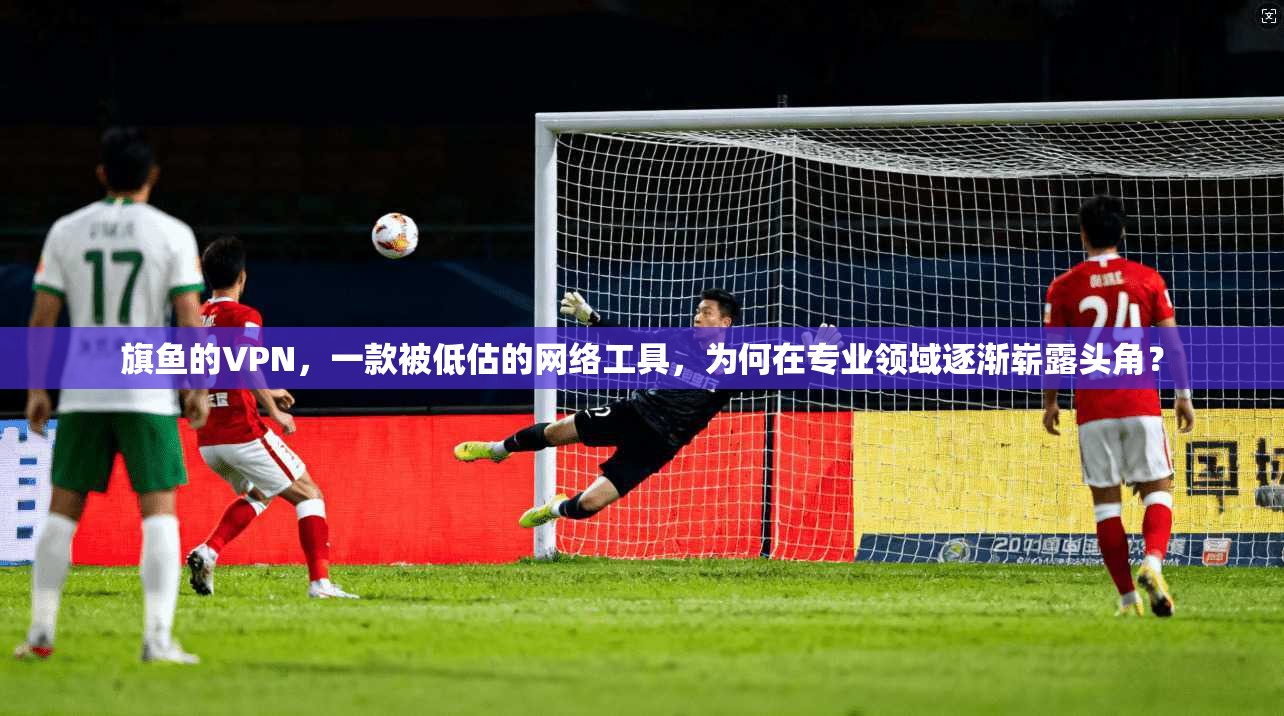 旗鱼的VPN，一款被低估的网络工具，为何在专业领域逐渐崭露头角？