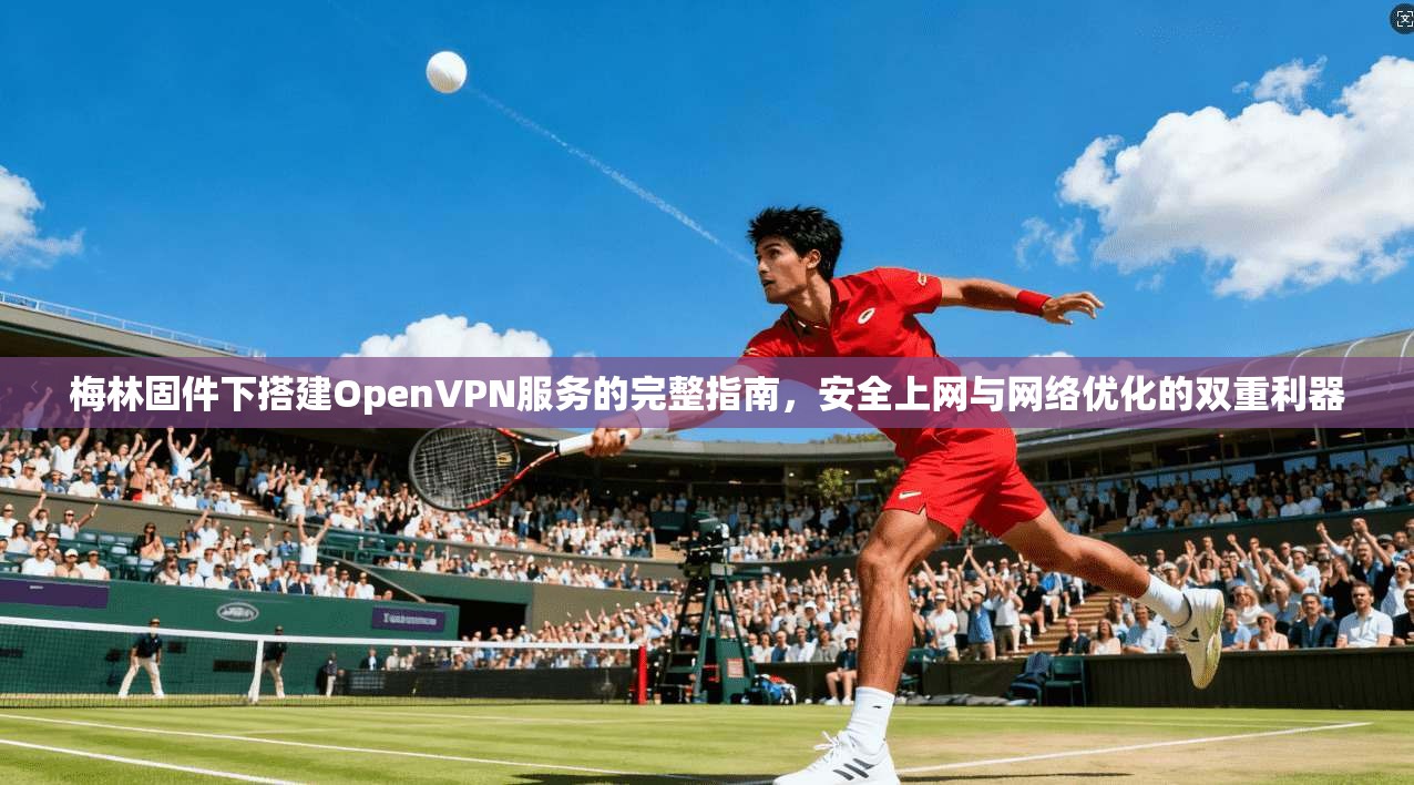 梅林固件下搭建OpenVPN服务的完整指南，安全上网与网络优化的双重利器