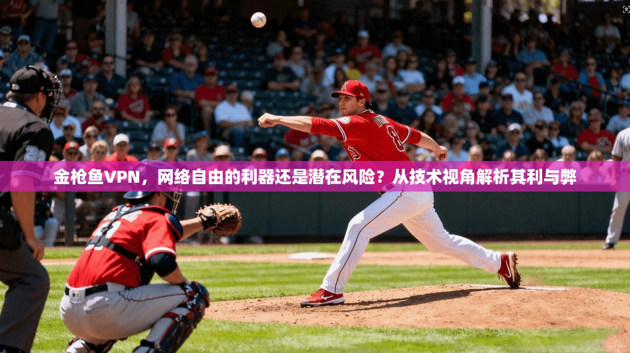 金枪鱼VPN,网络自由的利器还是潜在风险?从技术视角解析其利与弊