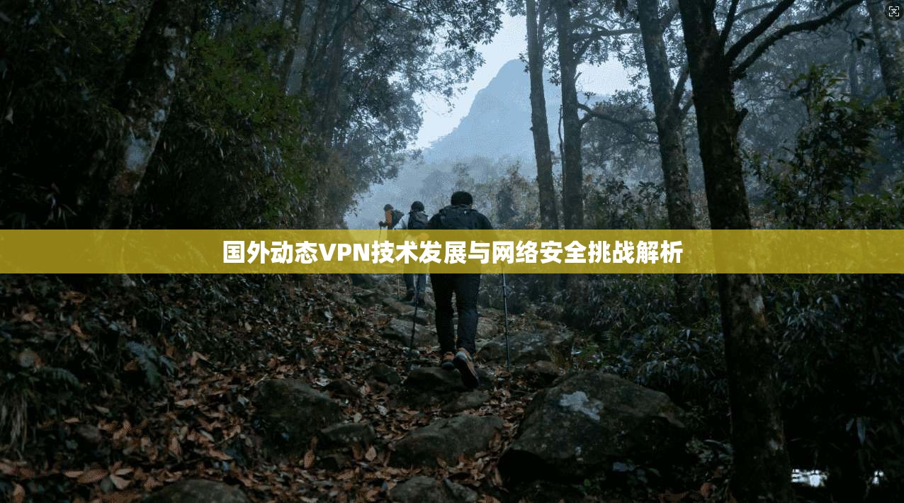 国外动态VPN技术发展与网络安全挑战解析