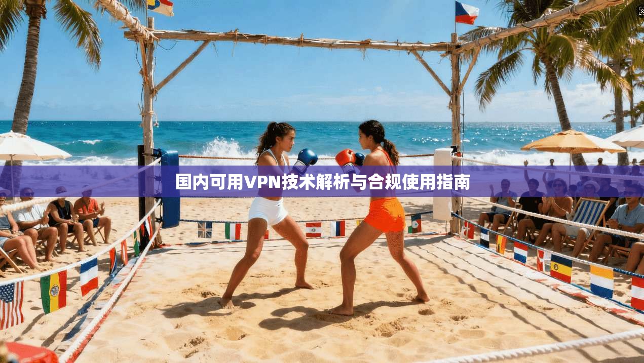 国内可用VPN技术解析与合规使用指南