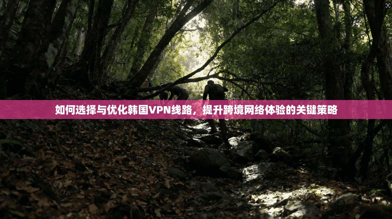 如何选择与优化韩国VPN线路，提升跨境网络体验的关键策略