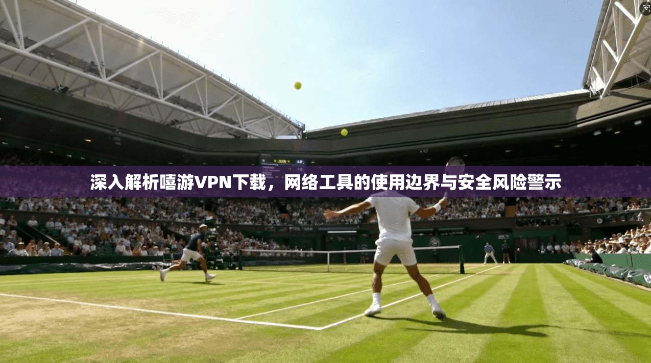 深入解析嘻游VPN下载,网络工具的使用边界与安全风险警示
