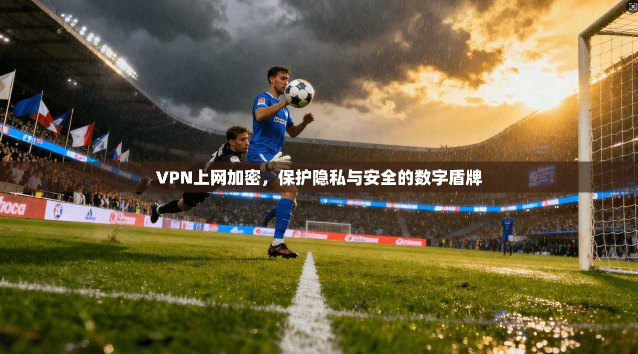 VPN上网加密，保护隐私与安全的数字盾牌