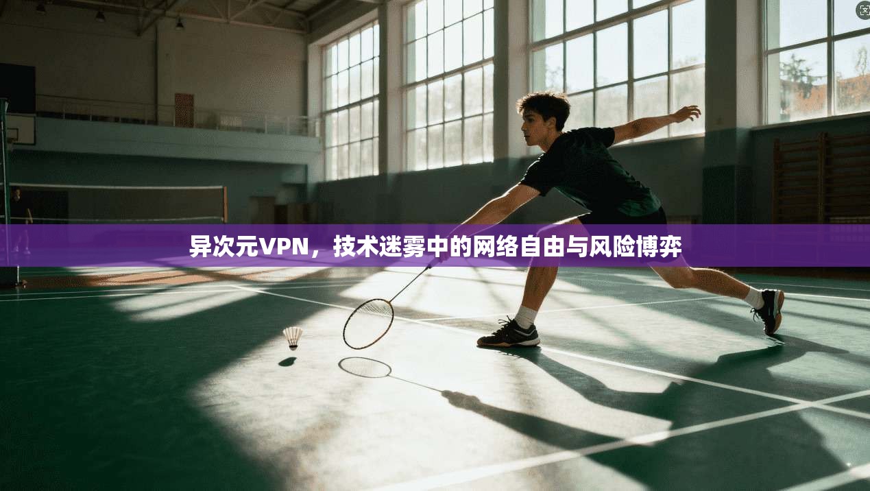 异次元VPN，技术迷雾中的网络自由与风险博弈