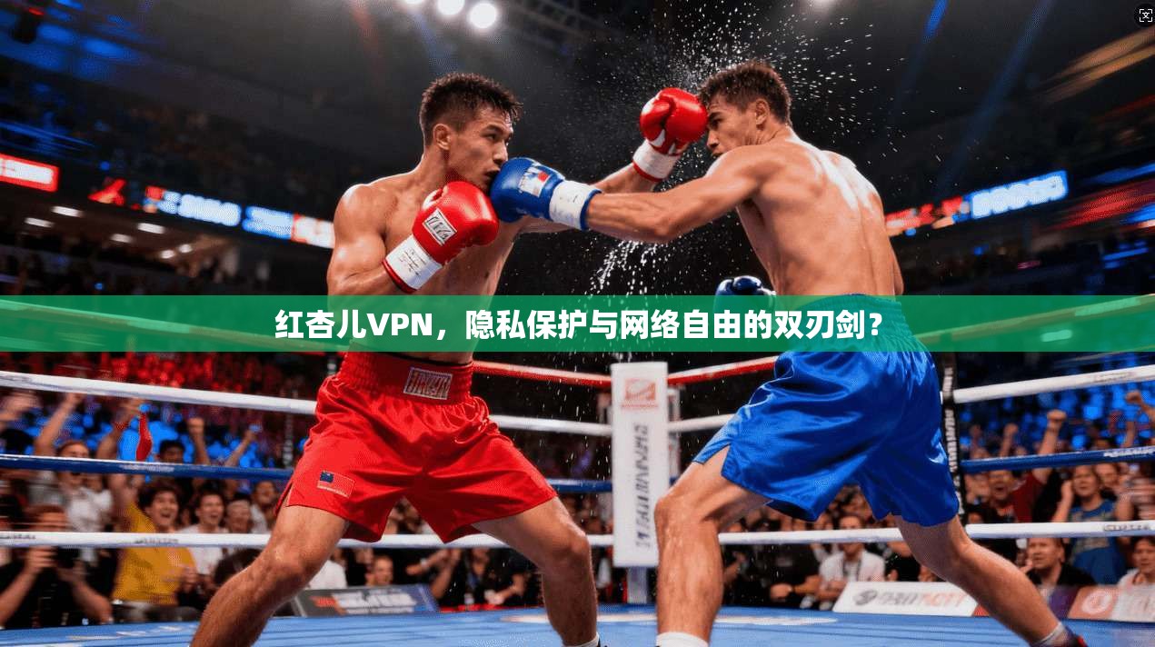 红杏儿VPN，隐私保护与网络自由的双刃剑？