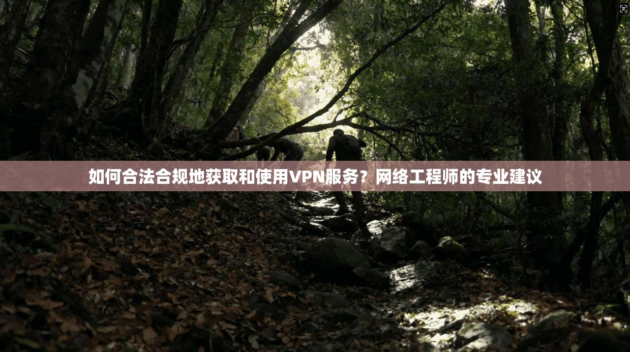 如何合法合规地获取和使用VPN服务？网络工程师的专业建议