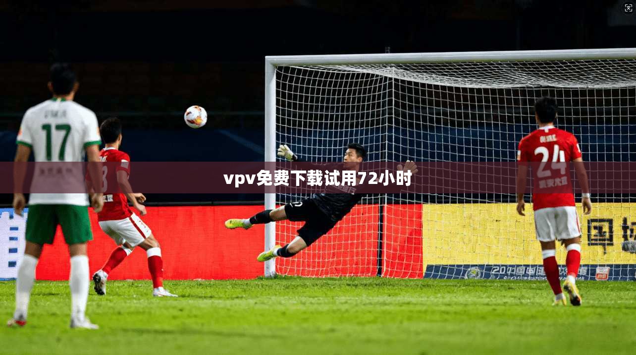 vpv免费下载试用72小时  第1张