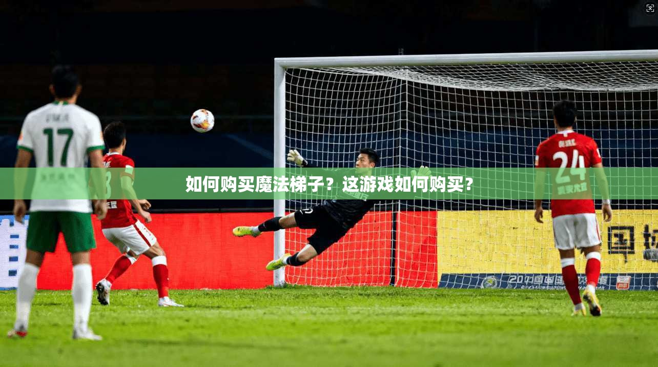如何购买魔法梯子？这游戏如何购买？  第1张