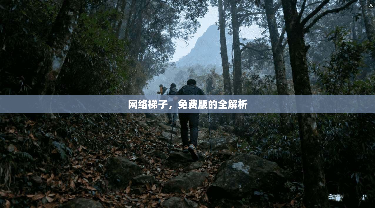 网络梯子，免费版的全解析  第1张